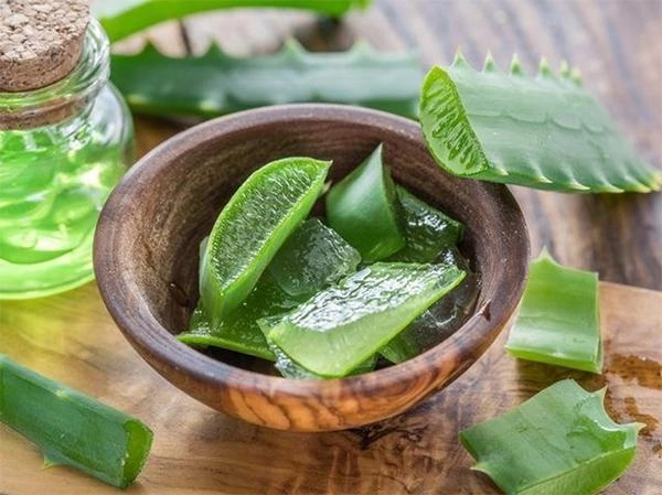 Nha đam có tác dụng gì với da mặt và làm đẹp - 1
