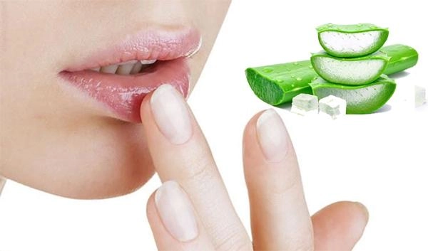 Nha đam có tác dụng gì với da mặt và làm đẹp - 4