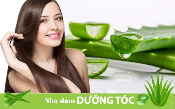 Nha đam có tác dụng gì với da mặt và làm đẹp - 6