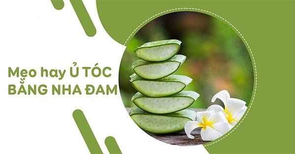 Nha đam có tác dụng gì với da mặt và làm đẹp - 7