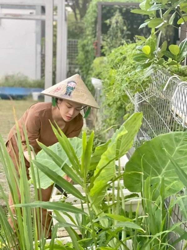 Nhật kim anh đón mẹ lên ở cùng hằng ngày chăm sóc vườn rau xanh vào mùa dịch - 6