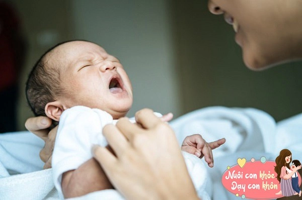Những bé có chỉ số thông minh cao sẽ làm được điều kỳ lạ này trong vòng 1 tuổi - 4
