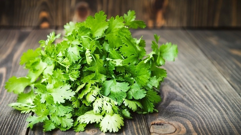 Những loại rau củ không nên cho bé ăn dưới 1 tuổi - 3