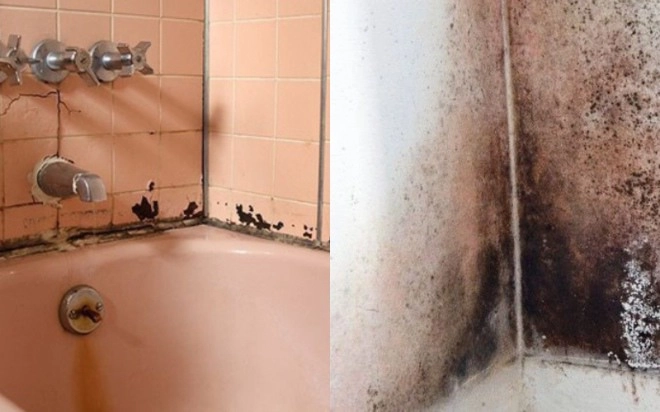 Phòng tắm là điểm yếu phong thuỷ trong nhà biết lý do bạn sẽ không dám để nó ẩm ướt - 1