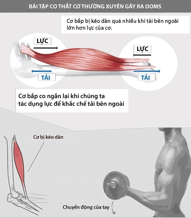 Quay lại phòng tập sau giãn cách làm sao để giảm bớt triệu chứng đau cơ - 1