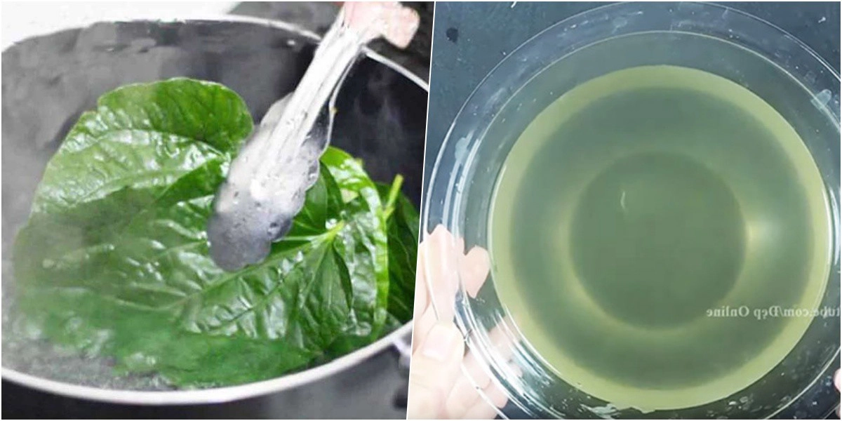 Rẻ-đẹp-dễ việt nam may mắn có 1 loại lá chuyên trị nám tìm đâu cũng có - 6