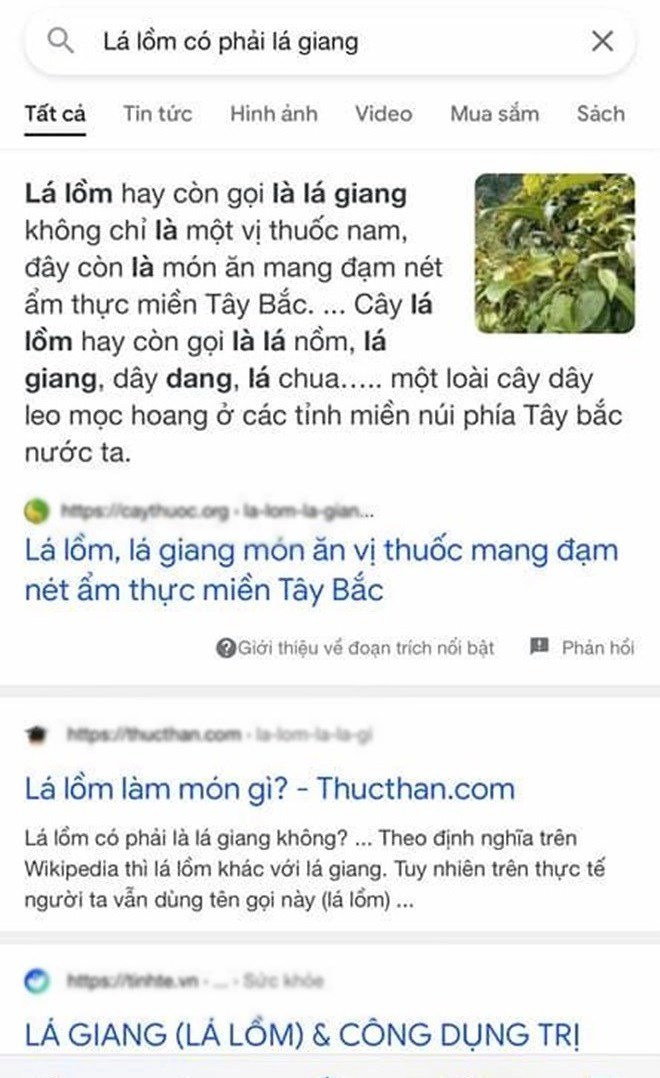 Sao nam mua lá rừng về cho vợ nấu canh cười sặc vì tên lạ cuối cùng quê một cục - 4