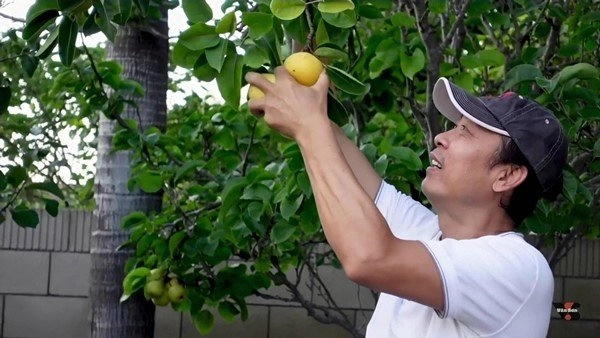 Sao việt ở mỹ có vườn rộng thênh thang bằng kiều vân sơn thỏa mãn đam mê cây cối - 10