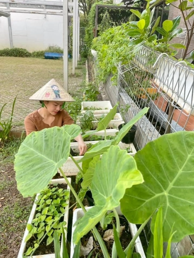 Sau ly hôn 2 bà mẹ đơn thân không muốn lấy thêm chồng ở biệt thự thích trồng rau quê - 7