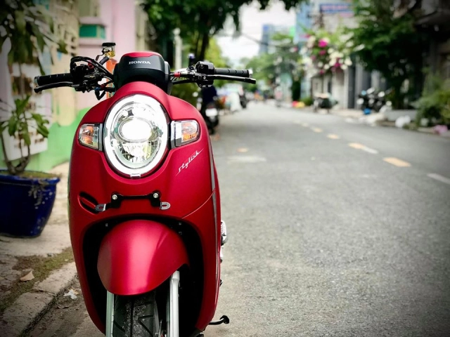 Scoopy bé nhỏ xinh xinh nhưng cũng khá đẹp khi đem đi dọn kiểng - 1