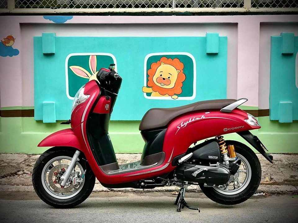 Scoopy bé nhỏ xinh xinh nhưng cũng khá đẹp khi đem đi dọn kiểng - 9