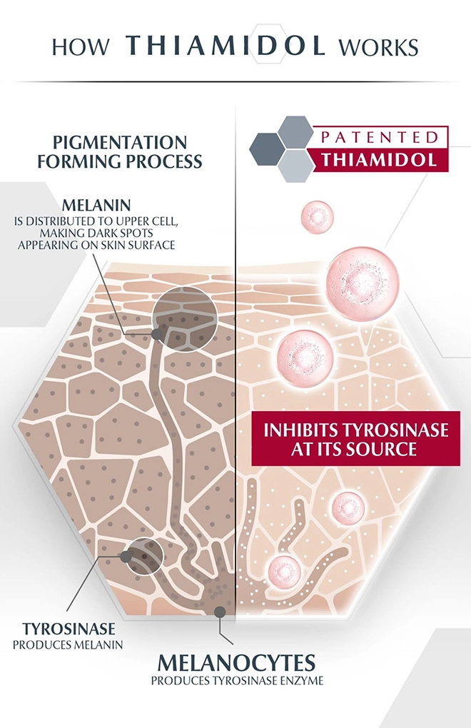 Serum giảm nám hiệu quả nhờ ức chế enzyme đứng đầu chuỗi sản sinh melanin - 3