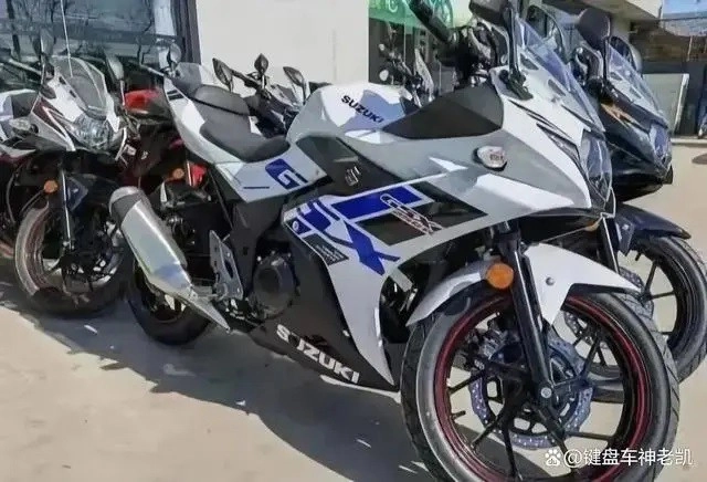 Suzuki gsx-250r 2022 sao chép kiểu dáng đàn anh hayabusa ra đời - 3