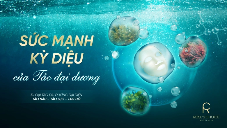 Tảo đại dương tinh chất dưỡng da hoàn hảo - 1