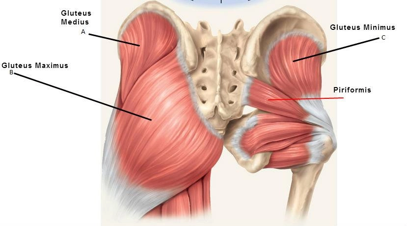 Tập cùng sao chỉ 6 động tác nhào nặn sau 2 tuần sĩ thanh lấp đầy hõm hông quả táo - 5