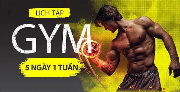 Tập gym hướng dẫn cách tập gym lịch tập và chế độ ăn uống khoa học - 2