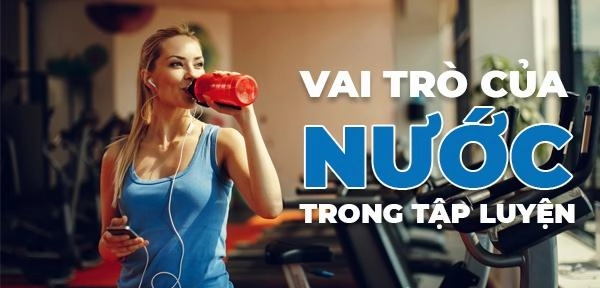 Tập gym hướng dẫn cách tập gym lịch tập và chế độ ăn uống khoa học - 3