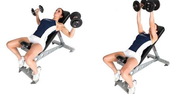 Tập gym hướng dẫn cách tập gym lịch tập và chế độ ăn uống khoa học - 6