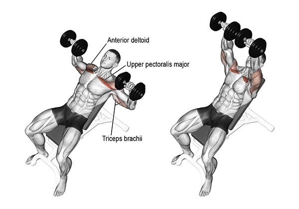 Tập gym hướng dẫn cách tập gym lịch tập và chế độ ăn uống khoa học - 7