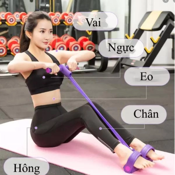 Tập gym hướng dẫn cách tập gym lịch tập và chế độ ăn uống khoa học - 13