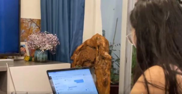 Thấy cảnh phim nhạy cảm của huy khánh vợ hoa khôi không thèm nhìn con gái thảng thốtghê quá - 3