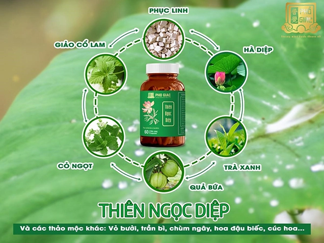 Thiên ngọc diệp - bí quyết đánh bay mỡ thừa hiệu quả từ thảo mộc - 3