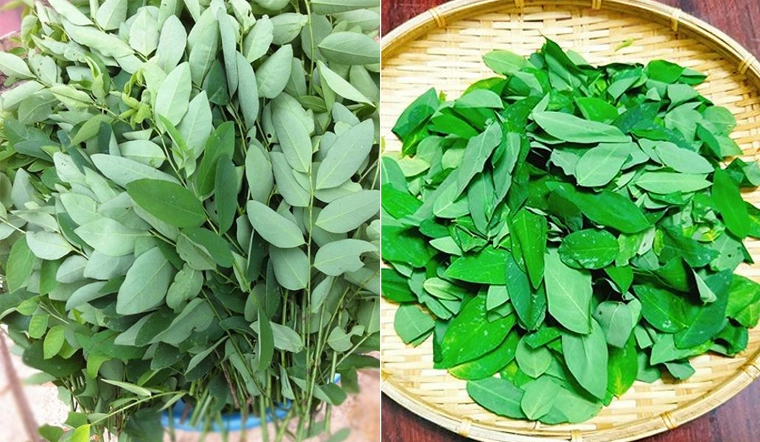 Thịt ngan nấu với rau gì cho bé là ngon nhất - 7