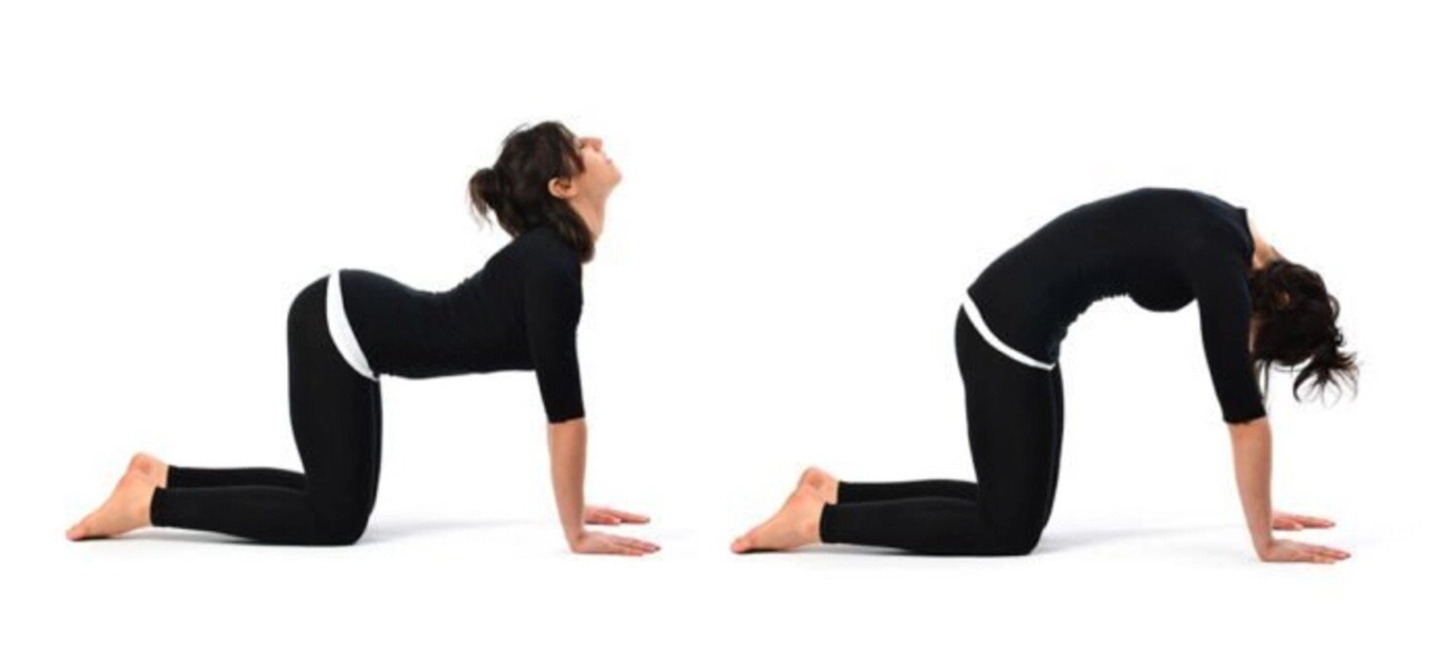 Thư giãn tinh thần tuốt lại vóc dáng nhờ những bài tập yoga giảm cân siêu đơn giản tại nhà - 6