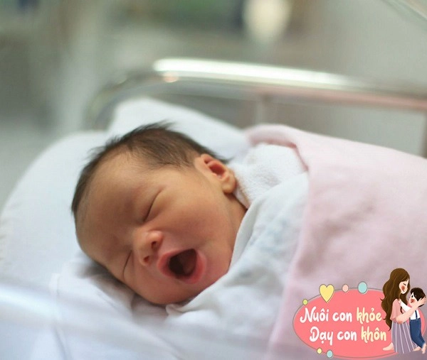 Thực hư chuyện trẻ nổi gân xanh ở mũi sẽ khó nuôi khoa học giải thích - 9