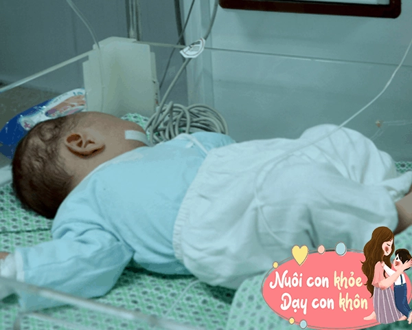 Tiến sĩ dinh dưỡng chỉ cách cho trẻ ăn trứng có lợi nhất cho sức khỏe tránh bổ thành độc - 3