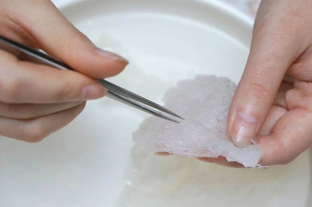 Tổng hợp 3 cách nấu cháo tổ yến cho bé cực kỳ bổ dưỡng cho bé - 3