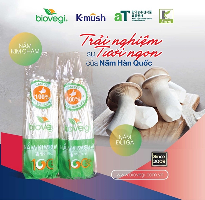 Trải nghiệm nấm kim châm hàn quốc cùng biovegi việt nam - 1