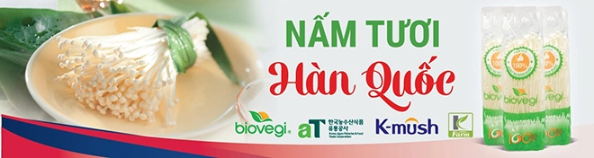 Trải nghiệm nấm kim châm hàn quốc cùng biovegi việt nam - 5