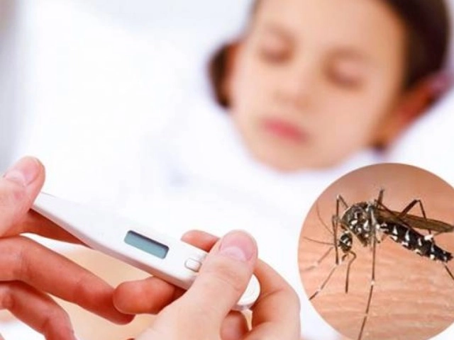 Trẻ bị sốt xuất huyết ăn gì cho mau khỏe - 7