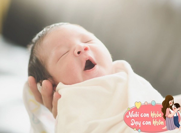 Trẻ sơ sinh chào đời xấu không thể tưởng và những bí mật thú vị ít ai biết - 9