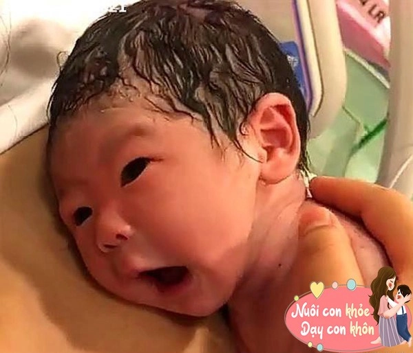 Trẻ sơ sinh chào đời xấu không thể tưởng và những bí mật thú vị ít ai biết - 14