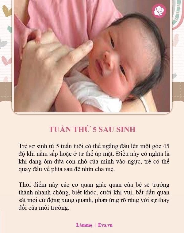 Trẻ từ sơ sinh đến 1 tuổi có 8 mốc phát triển não nhảy vọt - 2