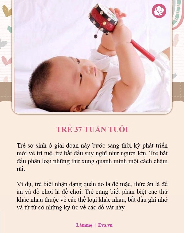 Trẻ từ sơ sinh đến 1 tuổi có 8 mốc phát triển não nhảy vọt - 7