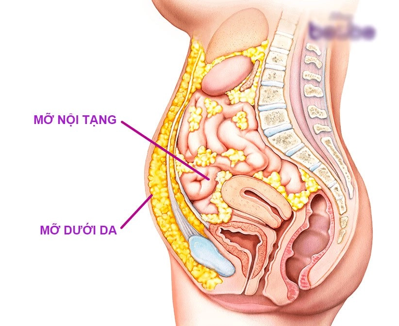 Từng béo ngỡ như bầu trang trần giảm 65kg mỡ bụng sau 3 tuần nhờ ngưng thói quen xấu này - 8