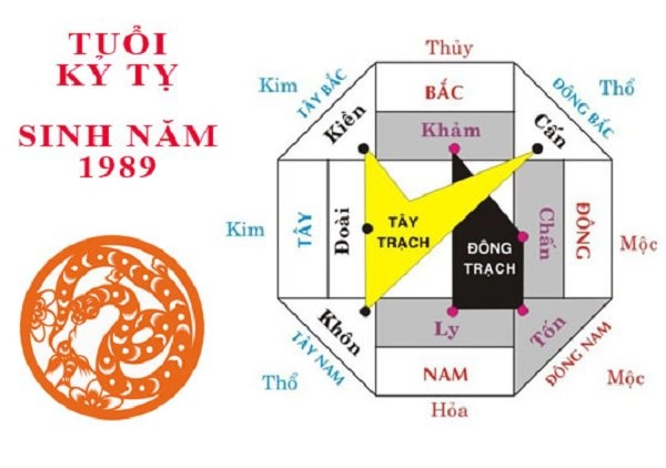 Tuổi kỷ tỵ hợp hướng nào sẽ ăn nên làm ra sự nghiệp tấn tới - 2