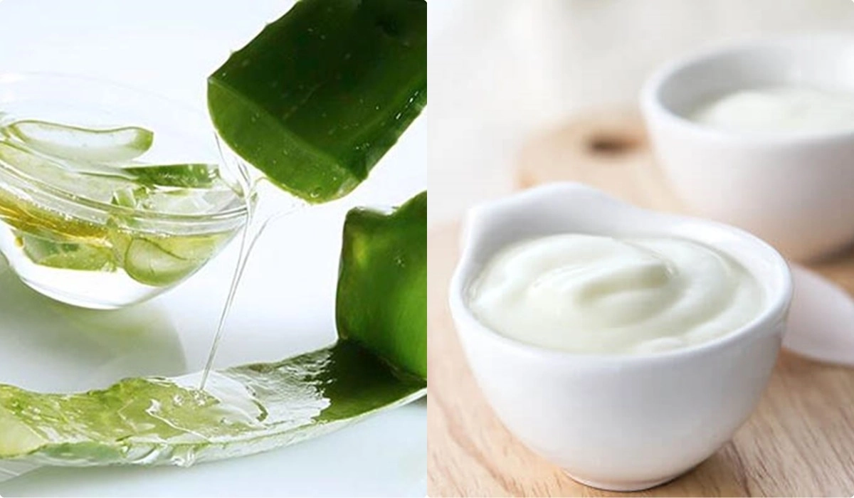 Tuyển tập trị mụn bằng nha đam bai bai làn da khuyết điểm - 3