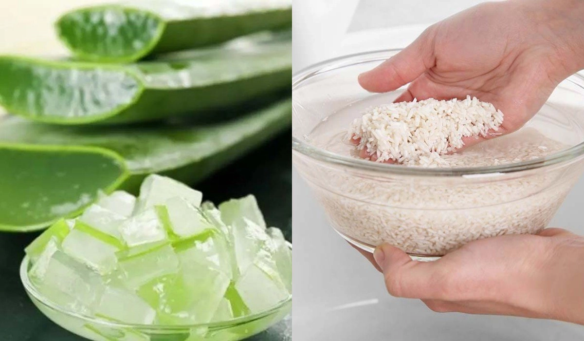 Tuyển tập trị mụn bằng nha đam bai bai làn da khuyết điểm - 8