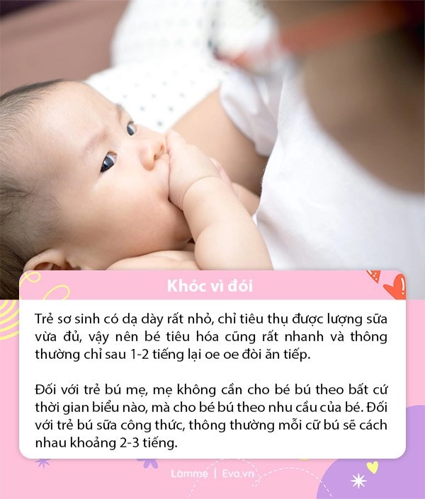 Vì sao trẻ sơ sinh khóc nhiều hiểu được ngôn ngữ của con mẹ chăm bé nhàn hơn - 5