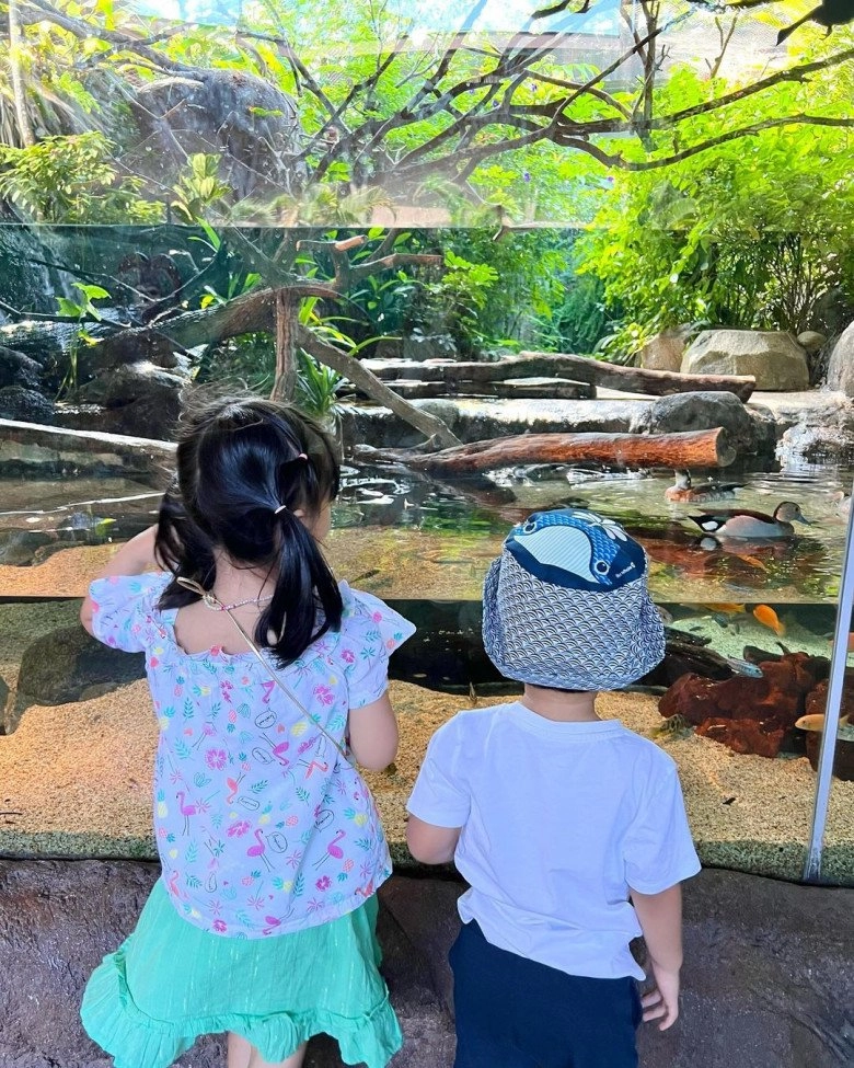 Vợ chồng hoa hậu đặng thu thảo đưa hai con du lịch nước ngoài bé gái ấn tượng vì chân dài miên man - 1