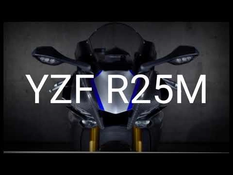Yamaha sẵn sàng cho dự án r25m để đánh bại zx-25r - 1