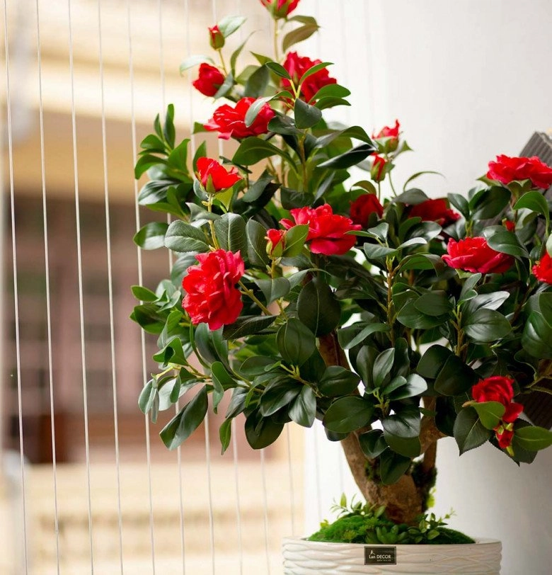 3 loại hoa đỏng đảnh khó chiều thích đến mấy cũng nên thận trọng khi mua kẻo sau phải hối hận - 2