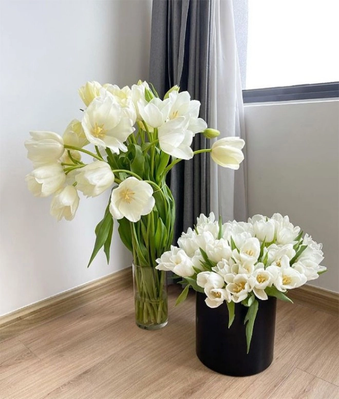 5 loại hoa tuy đẹp nhưng không may mắn để trong nhà khác gì mời gọi vận xui - 1