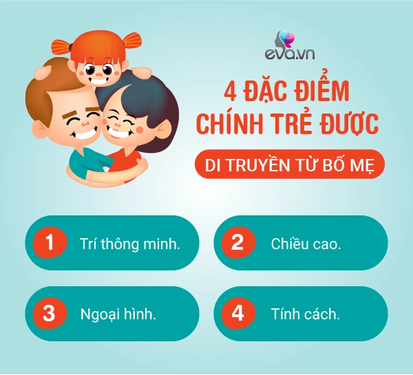 Chiều cao ngoại hình và iq của con sẽ được di truyền từ bố hay mẹ câu trả lời khiến ai cũng bất ngờ - 2