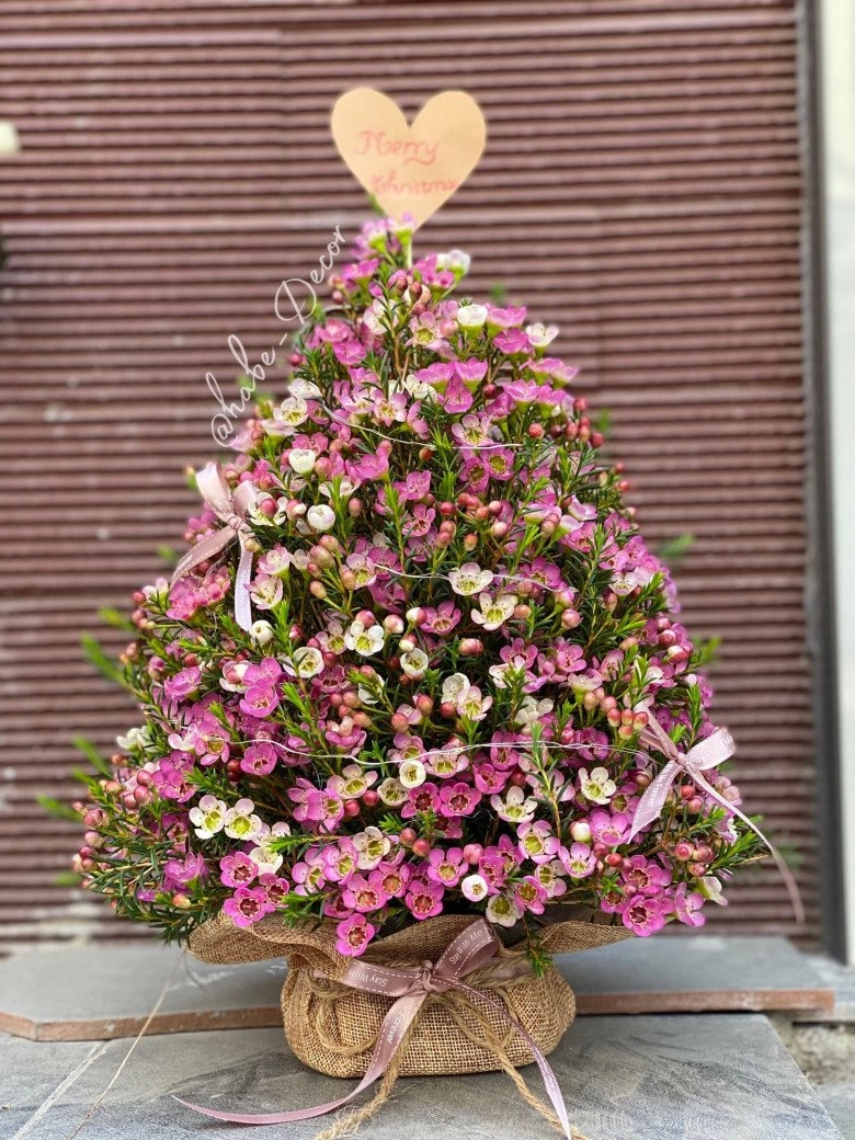 Độc lạ 9x hải phòng hô biến cây thông nở hoa đủ màu cắm hàng trăm bình hoa thông dịp giáng sinh - 4