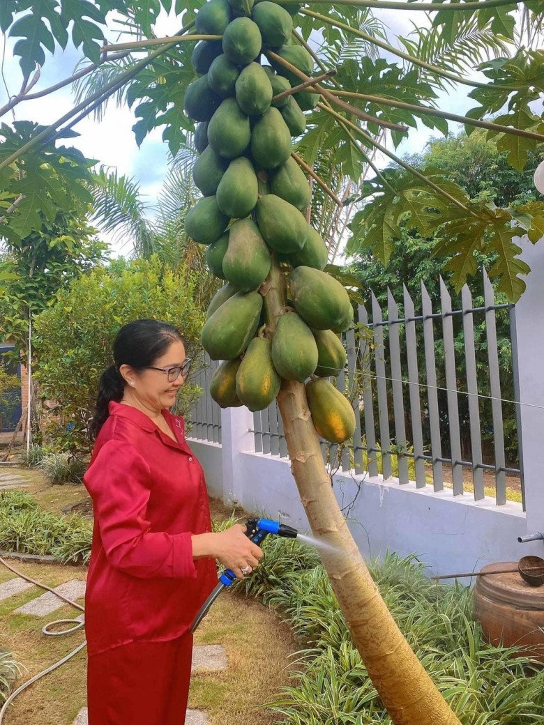 Đóng vai phụ lê phương thành công không kém hồ ngọc hà gia sản 2 nhà vườn rộng rãi làm mẹ 2 con ngoan - 13